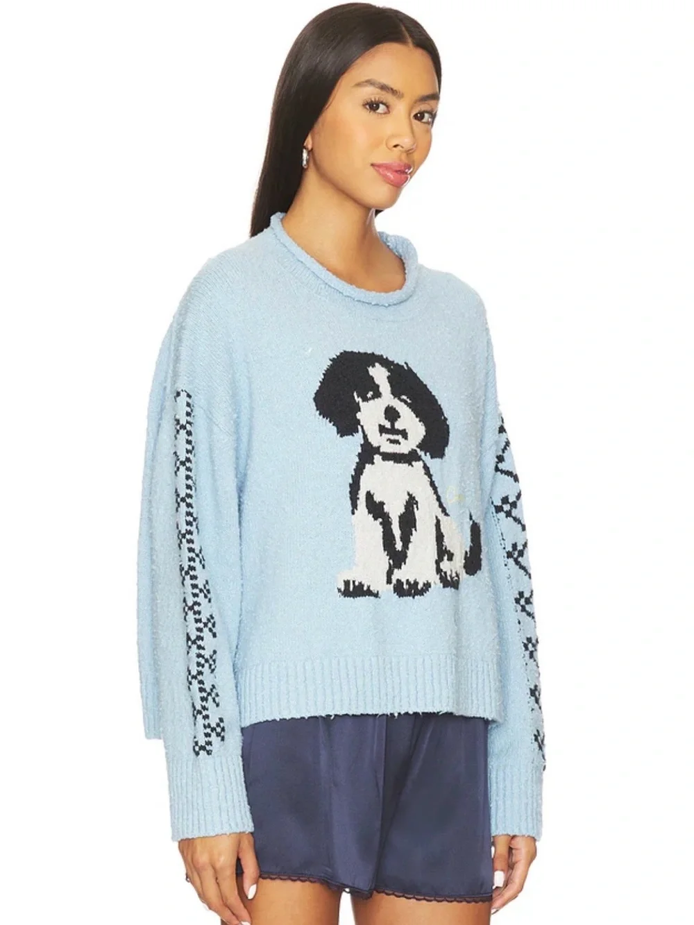 Free People NWT Story Book Blue Sweater in Clear Skies Combo Dog Sz Large